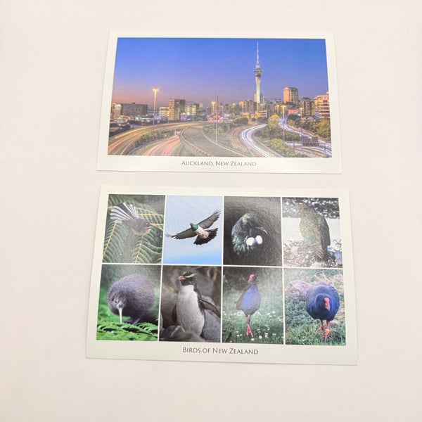 Auckland & Birds of New Zealand Postcard Set