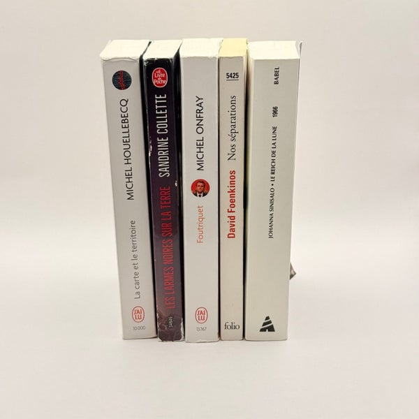 French Literature Book Collection written in French Carousel 3