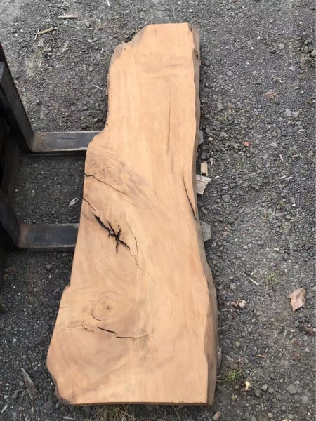 Ancient Swamp Kauri Slab – 2490 × 800/600 × 60 mm63896538157441113