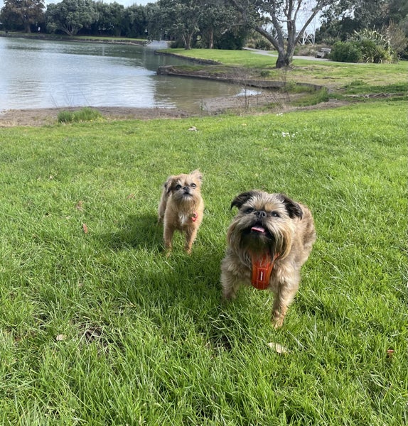 One Tree Hill, 4 bedrooms64298540851458114