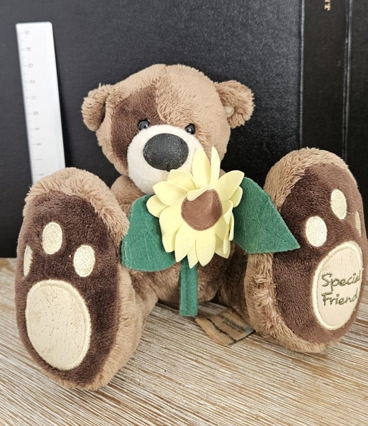Teddy the big foot bear toy Carousel 1