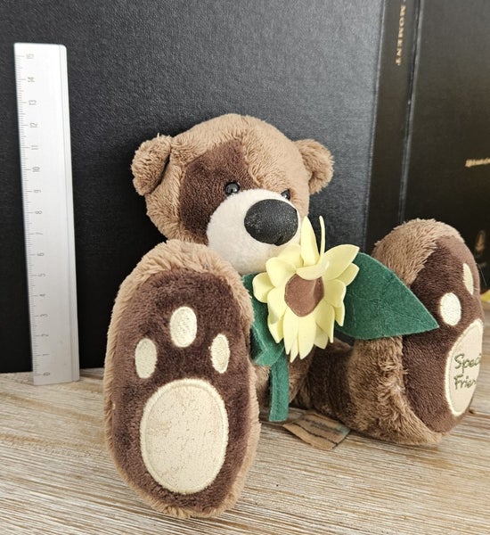 Teddy the big foot bear toy Carousel 2