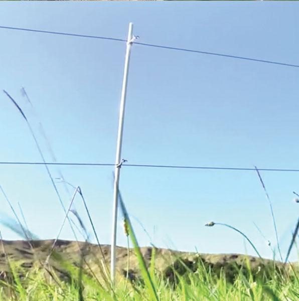 Fibreglass Rods 1.2m x 10mm (50 pack) Carousel 1