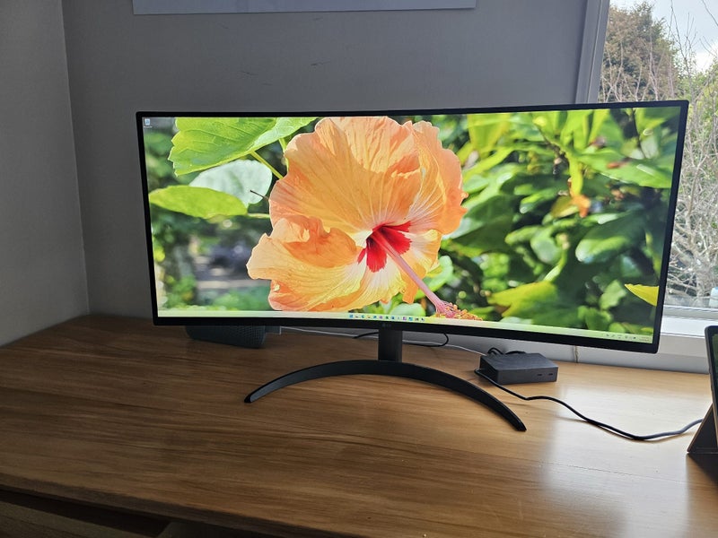 LG Ultra Widescreen 34" Monitor63905625824003110
