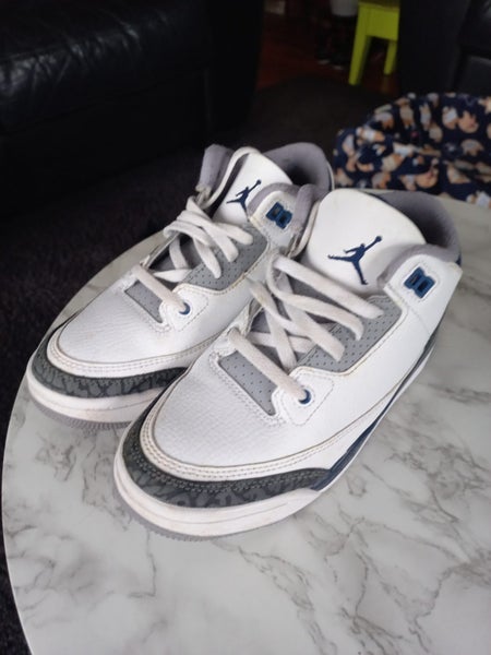 Air Jordan Retro 3 Carousel 7
