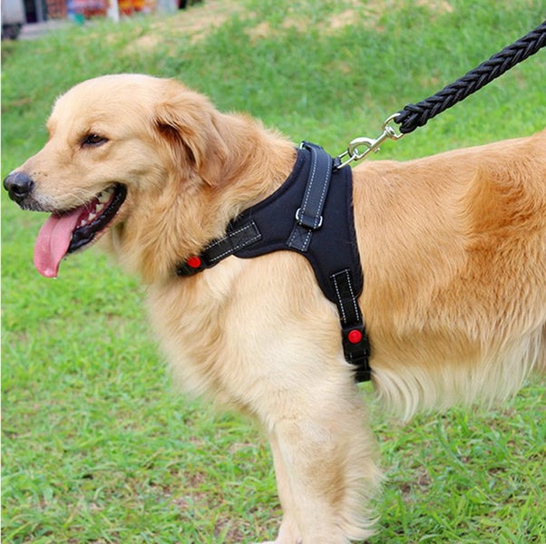 Harness Dog Harness Vest XS BK Carousel 2