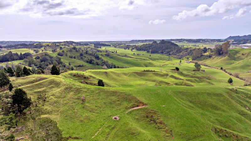 Coastal Bay of Plenty dairy support or dry stock63908279258243111