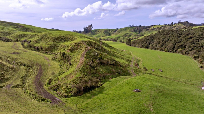 Coastal Bay of Plenty dairy support or dry stock63908279258243112