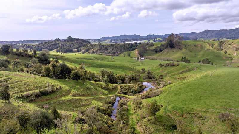 Coastal Bay of Plenty dairy support or dry stock63908279258243113