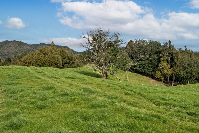 Coastal Bay of Plenty dairy support or dry stock63908279258243114