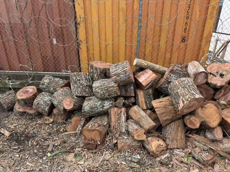 Pohutukawa wood rings and logs!!! Carousel 1
