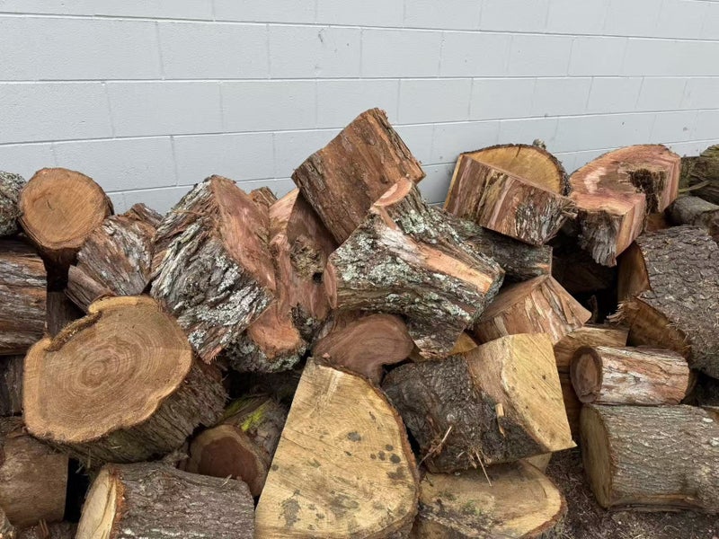 Pohutukawa wood rings and logs!!! Carousel 2