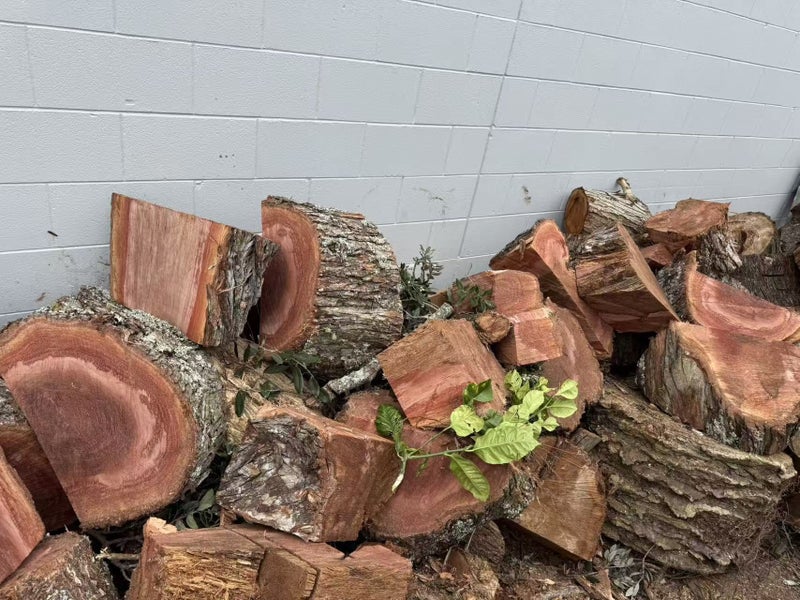 Pohutukawa wood rings and logs!!! Carousel 4