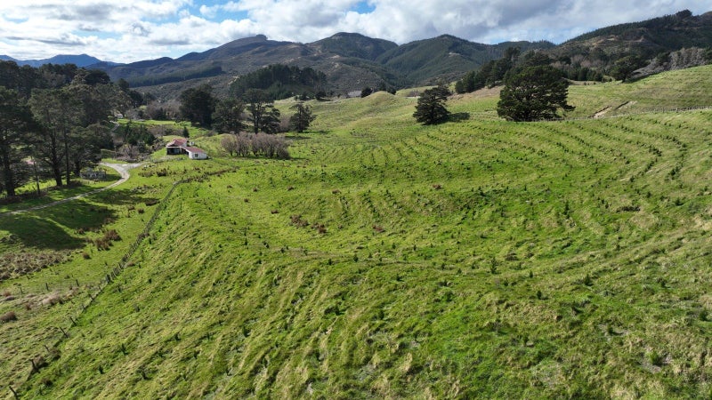 Image 1 of 16