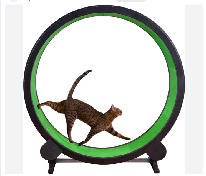 Gen 7 Cat Exercise Wheel & Replacement Parts One Fast Cat Unused & Assembled Carousel 14