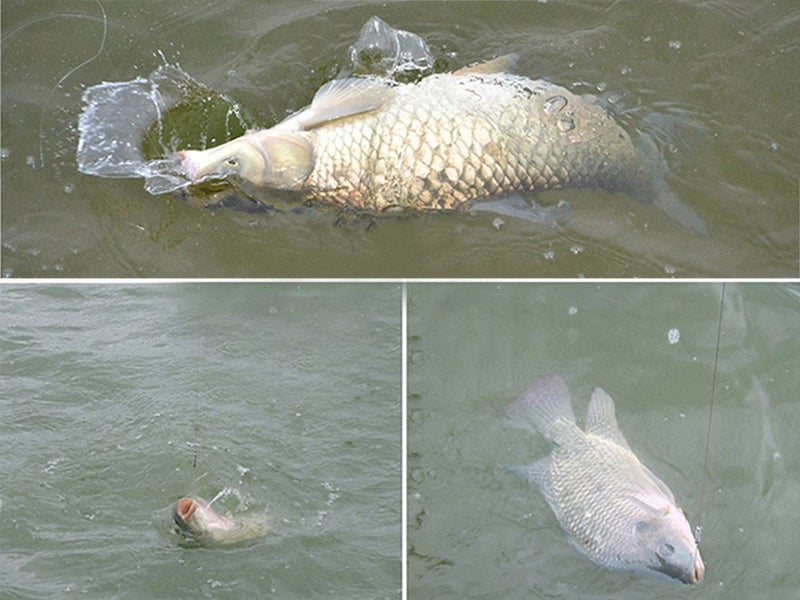 Fishing Line NZ Clearance Carousel 5