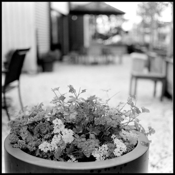 Agfa Super Isolette63917031785858112