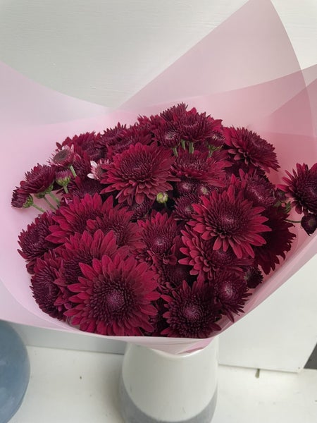 Chrysanthemum Maroon Spray Carousel 1