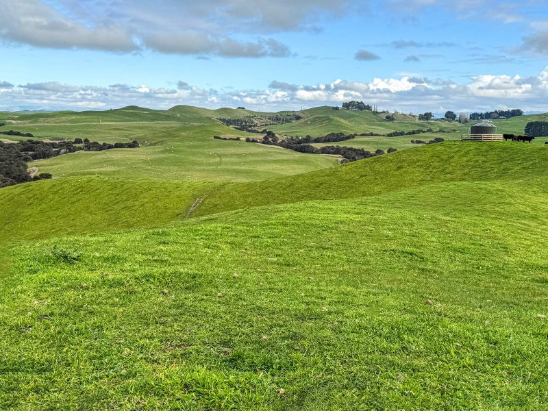 Quality finishing land with subdivision potential63918680385537113