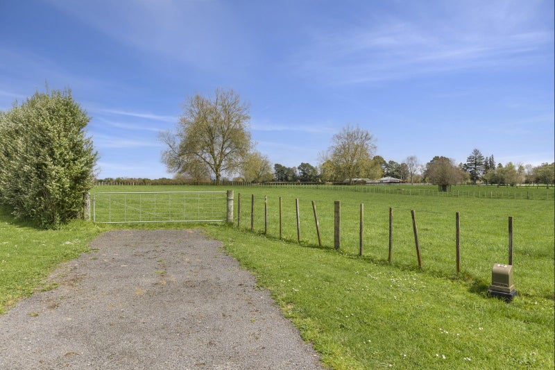 Spring into your dream lifestyle!64370791186819111