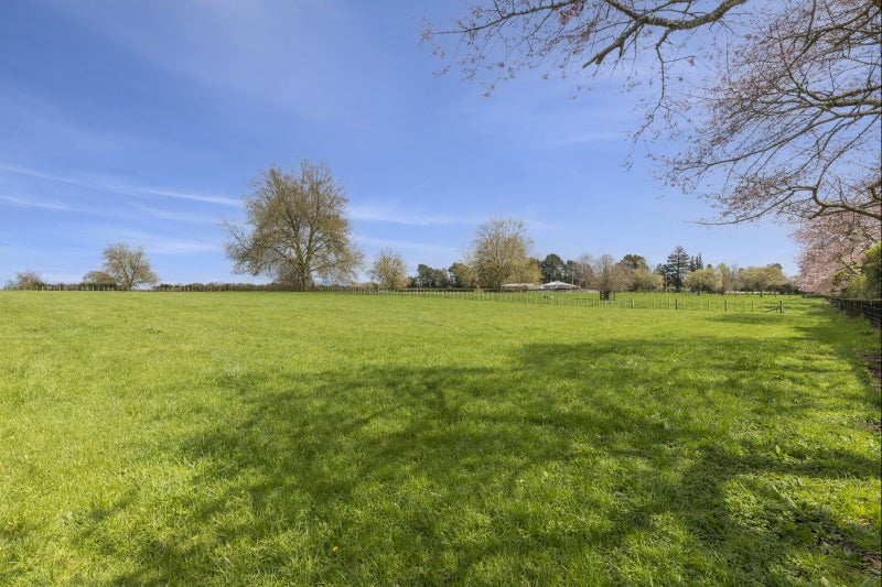 Spring into your dream lifestyle!64370791186819112