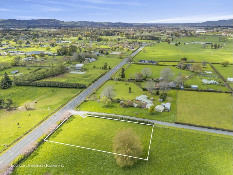 Spring into your dream lifestyle!64370791186819114