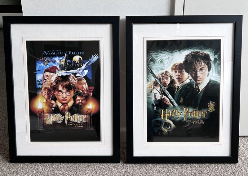 Framed Harry Potter movie prints Carousel 1
