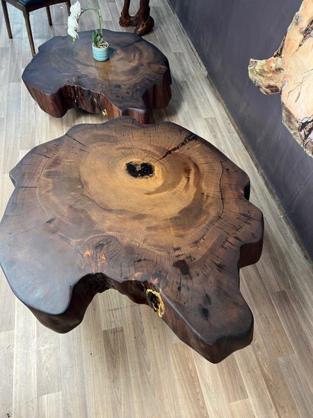 Luxury Ancient Kauri Trunk Coffee Table64685906342913112