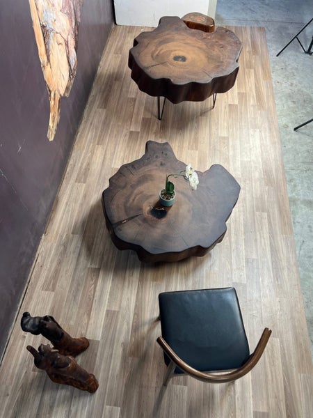 Luxury Ancient Kauri Trunk Coffee Table64685906342913113