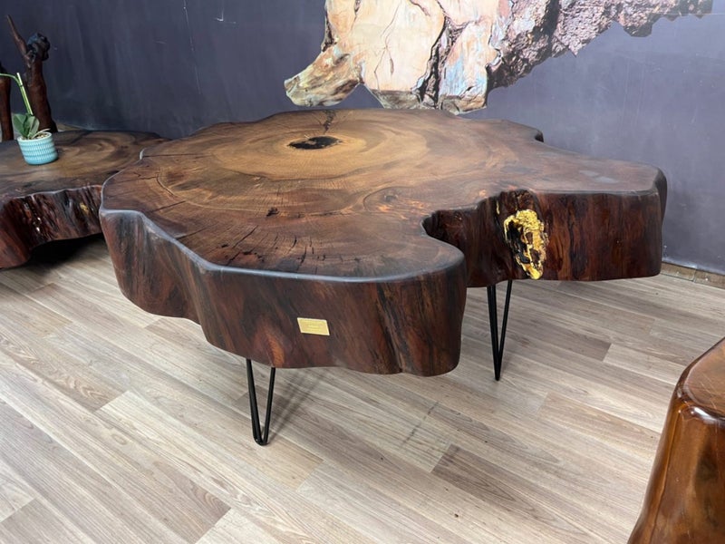 Luxury Ancient Kauri Trunk Coffee Table64685906342913110