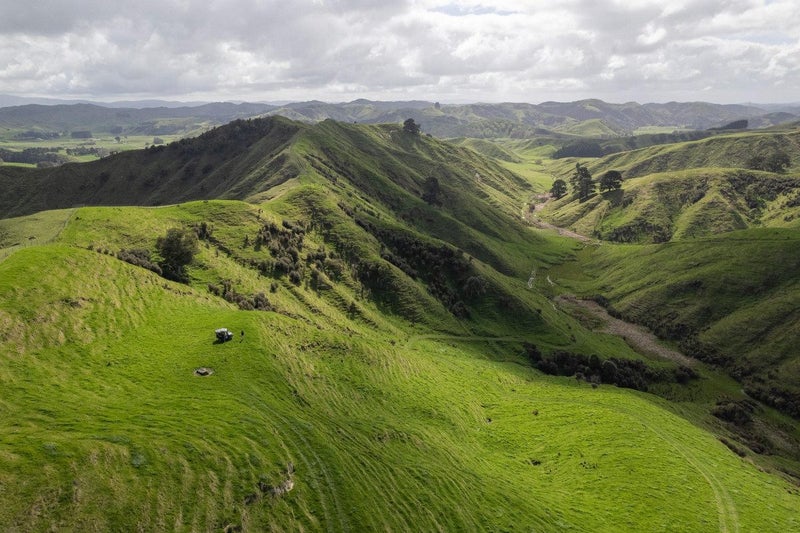 Merlo Forest63998822178179113