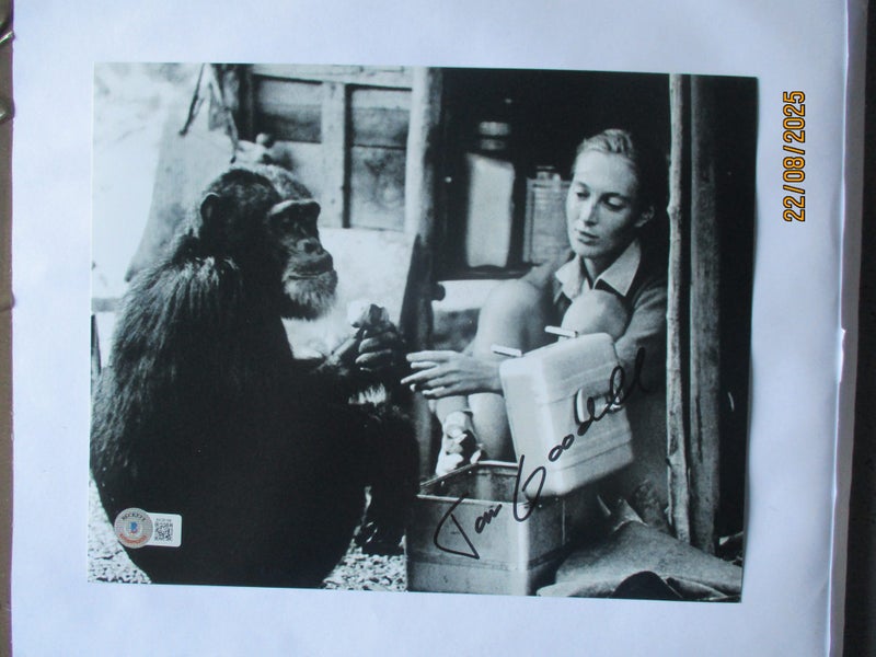 Dame Jane Goodall "Legendary Primatologist" signed Photo + Authentication Carousel 2