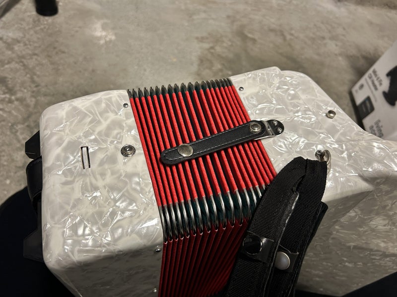 Beautiful Accordion (Needs Repair) Carousel 2