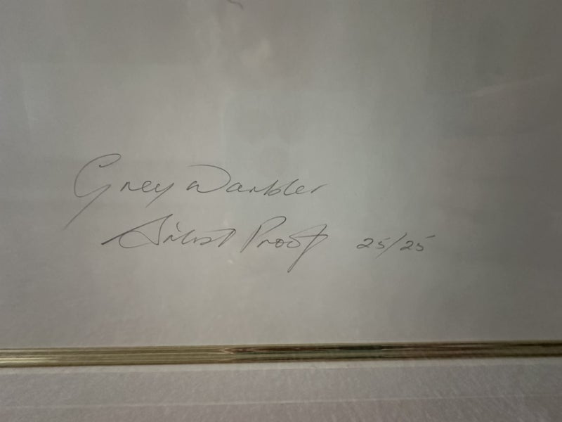 Merrilyn Jaquiery Artist Proof 25/25 Grey Warbler Carousel 5