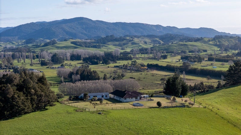 Image 1 of 21