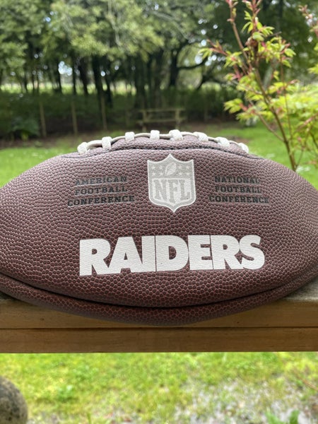 Raiders NFL ball Carousel 3