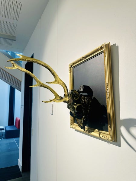 Hand carved deer skull mounted to frame Carousel 2