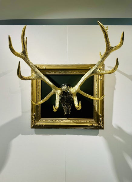 Hand carved real stag skull Carousel 2