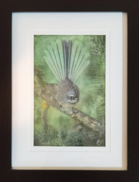 NZ Fantail - Framed Mixed Media by Roseanne Jones Carousel 1