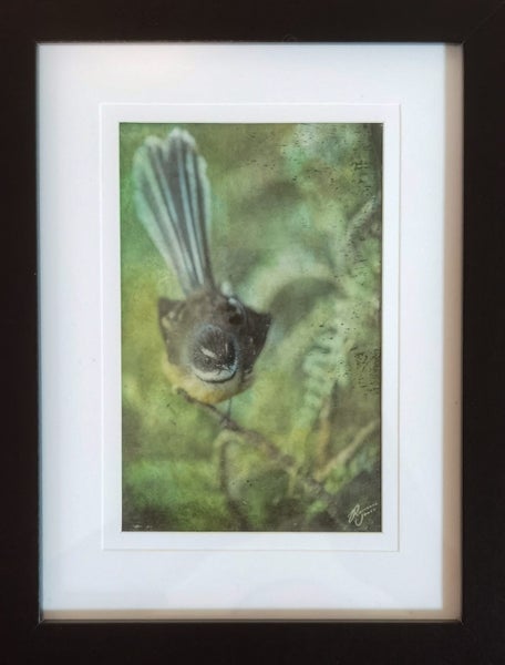 Fantail Landing - Framed Mixed Media by Roseanne Jones Carousel 1