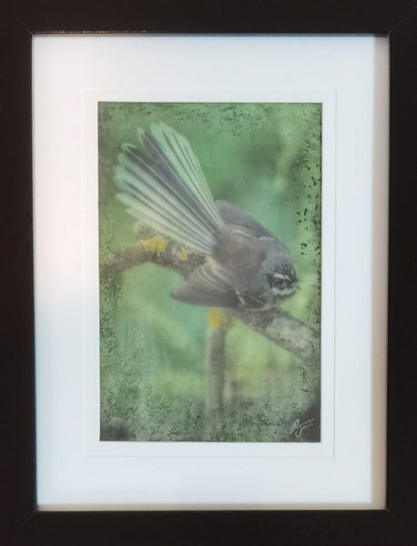 Fantail Foliage - Framed Mixed Media by Roseanne Jones Carousel 1