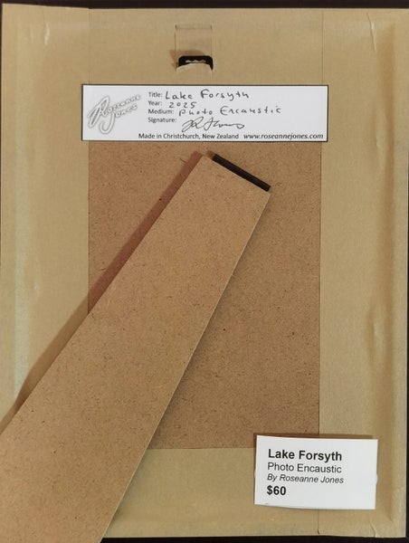 Lake Forsyth - Framed Mixed Media by Roseanne Jones Carousel 2