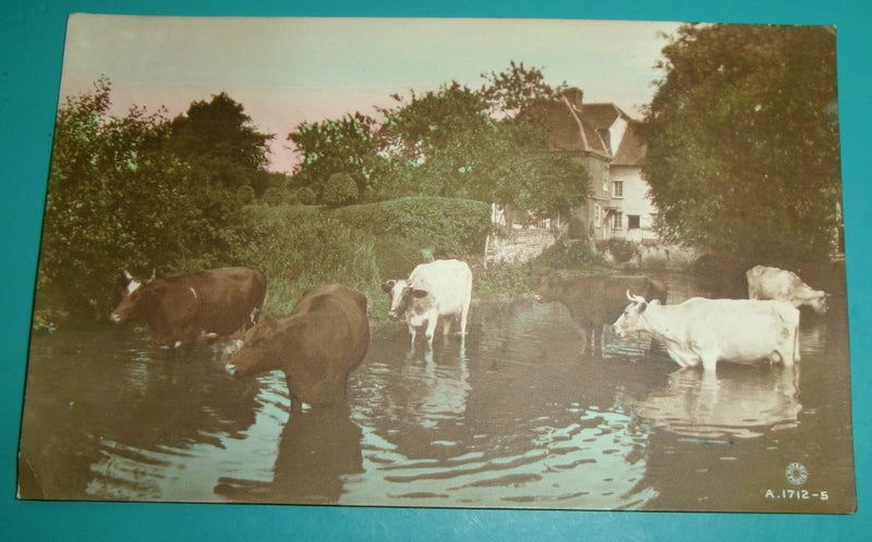 Hand Painted RPPC Cattle Crossing Ford Carousel 1