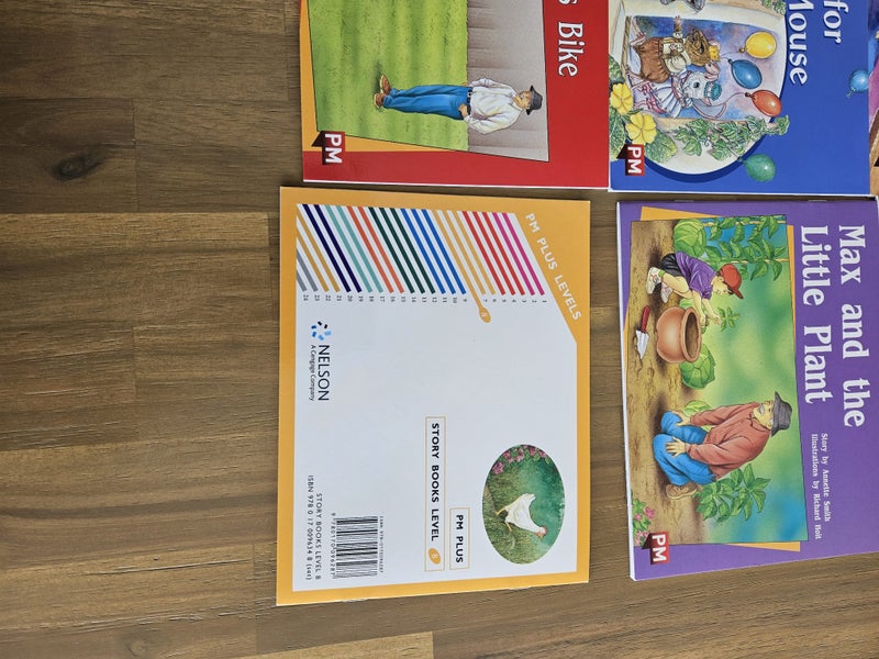 Pm Readers level 8 yellow Carousel 3