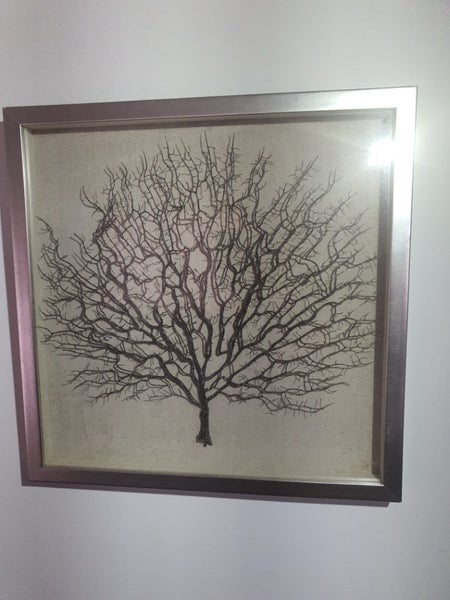 Coral art, sea fan. Carousel 1