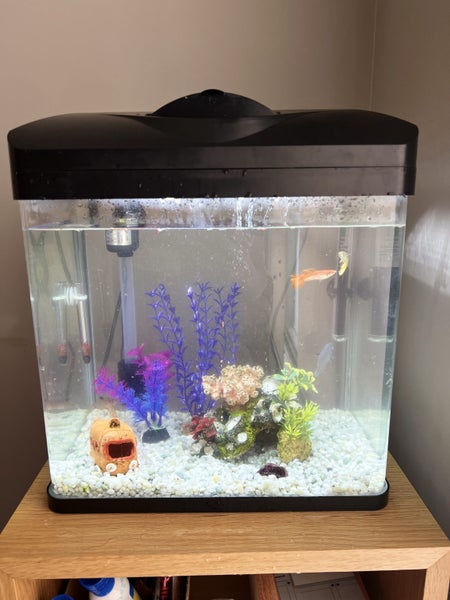 Aquarium 135 litre All Pet Aqua +7 tropical fish Carousel 1