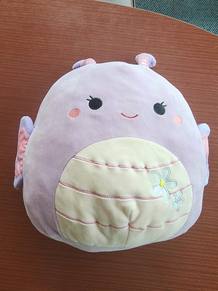 Squishmellow Carousel 1
