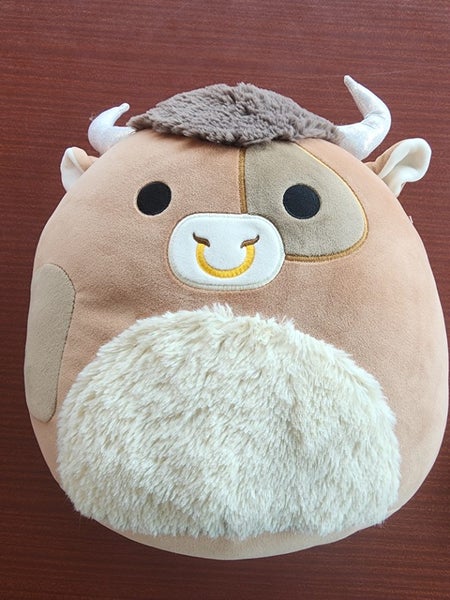 Squishmellow Carousel 1