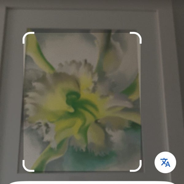 Framed Georgia O'Keeffe orchid print Carousel 1