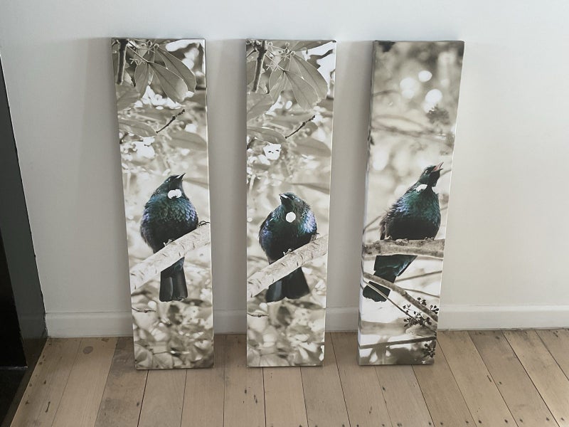 3 piece Tui’s On Canvas Carousel 1
